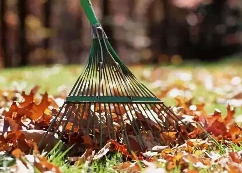 640?wx_fmt=jpeg&tp=webp&wxfrom=5&wx_lazy=1&wx_co=1