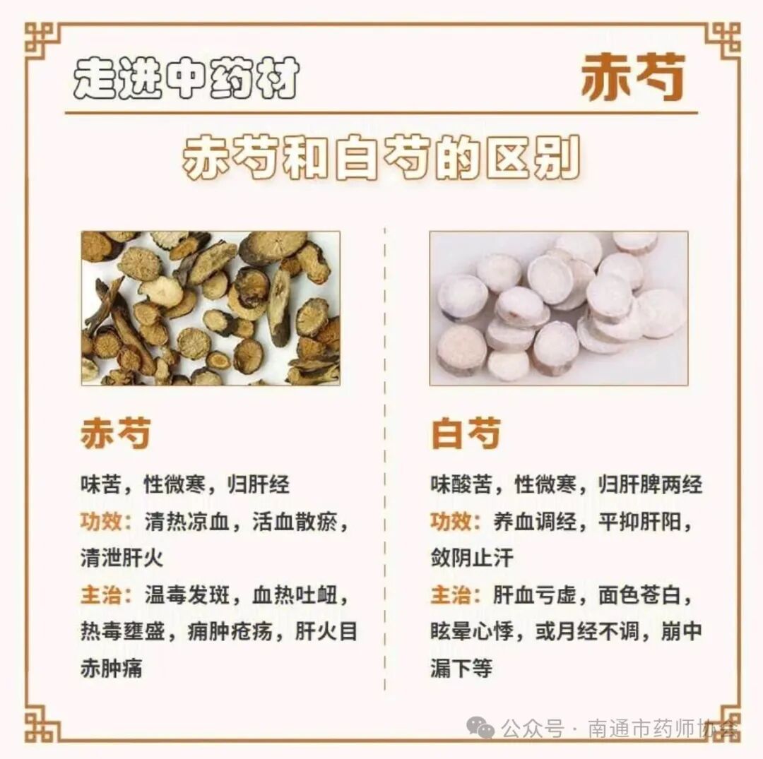 赤芍白芍功效大不同，中药“双胞胎”如何区分与应用？