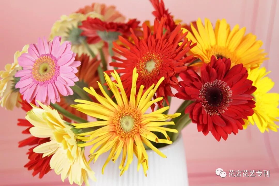 “金九银十”鲜花旺季全面开启，婚庆备货注意多