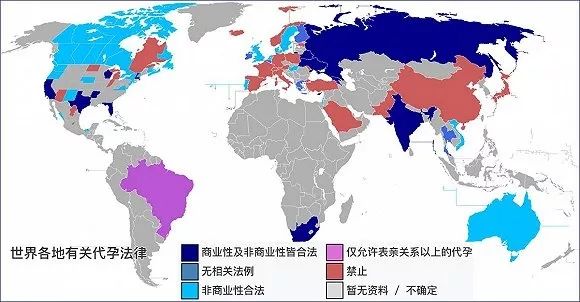 怀孕后去美国生孩子_怀孕生美国孩子去哪里生_怀孕去美国生孩子