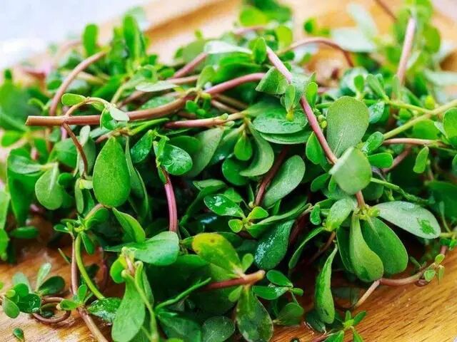 春天别忘了吃这个菜，清热解毒，赶走小疾病走~6种吃法快收藏~