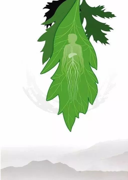 磁疗热敷贴怎么用湿寒入骨？关节疼痛不用怕，有了可控温护膝宝，在家就能做艾灸！_https://www.jmylbn.com_新闻资讯_第2张