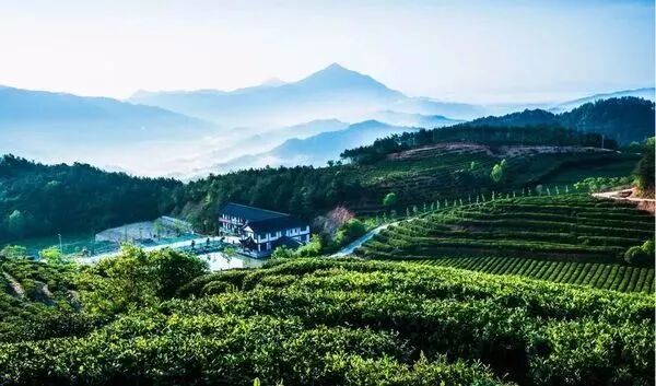 磁疗热敷贴怎么用湿寒入骨？关节疼痛不用怕，有了可控温护膝宝，在家就能做艾灸！_https://www.jmylbn.com_新闻资讯_第12张