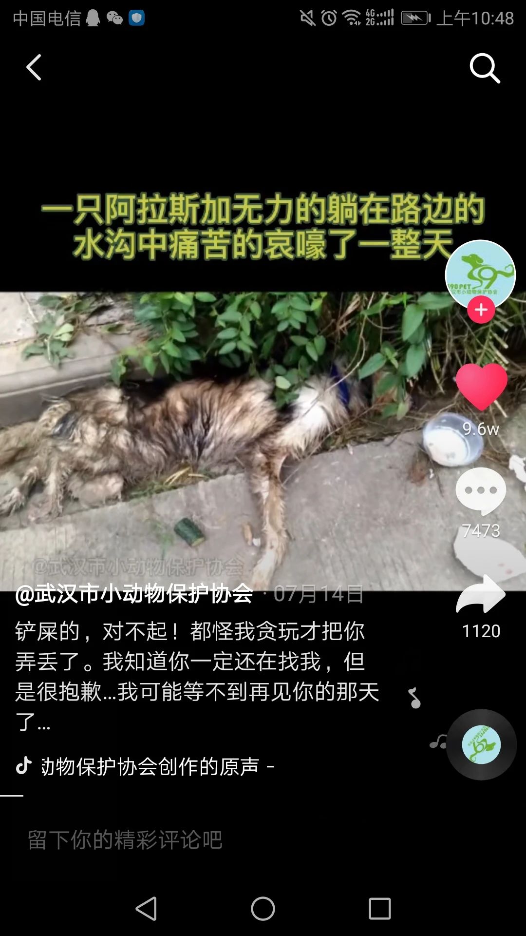 伴随了你11年的狗，最后你还是选择把它抛弃了..