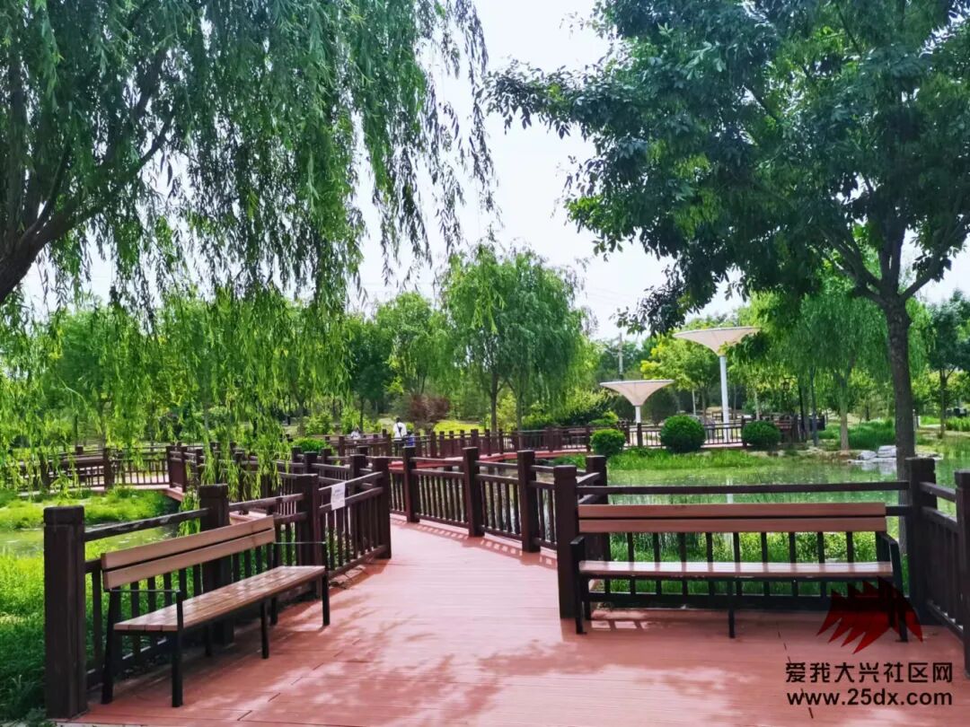 「大兴游玩」免费停车!秋千,沙地,步道……趁人少速来这个公园