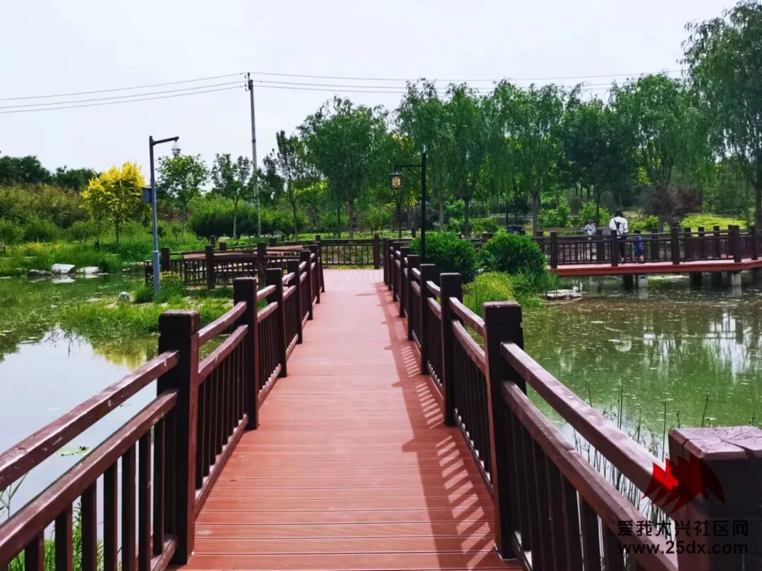 「大兴游玩」免费停车!秋千,沙地,步道……趁人少速来这个公园