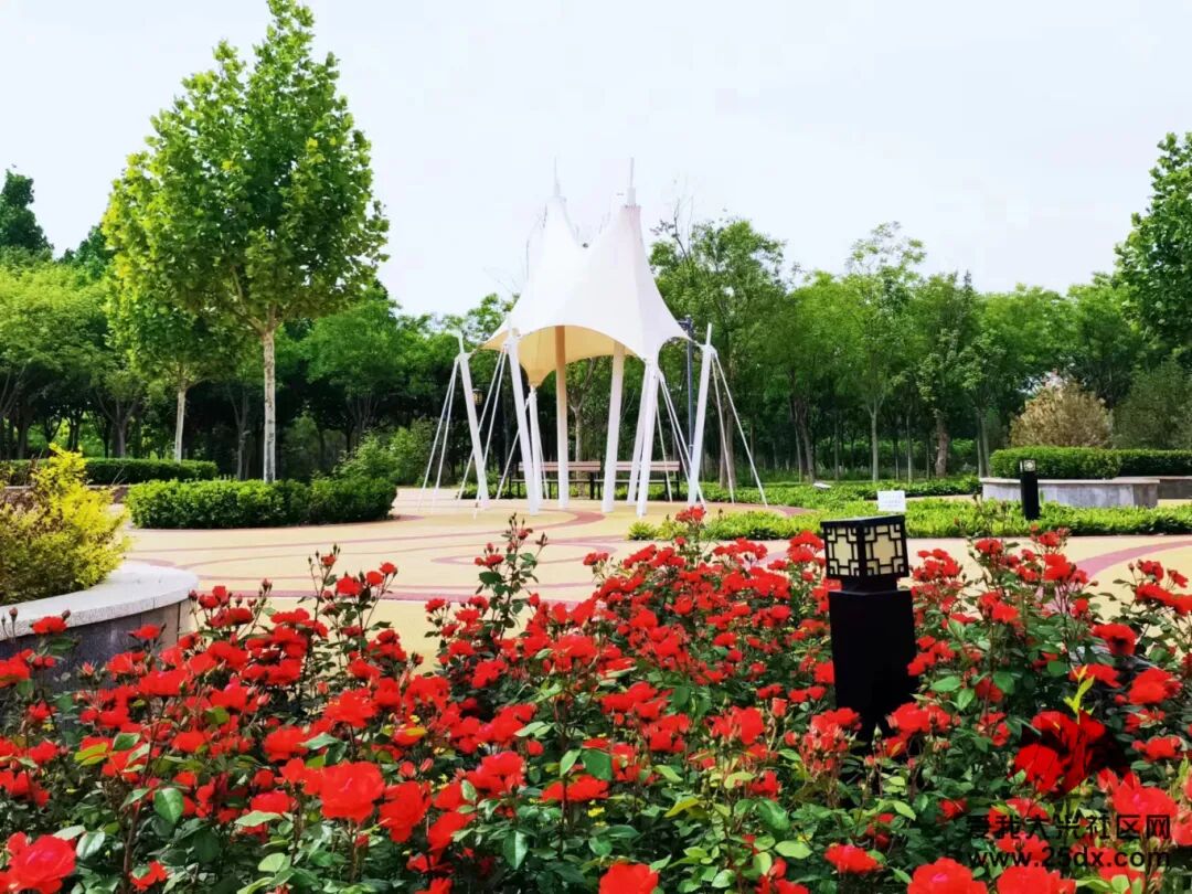 「大兴游玩」免费停车!秋千,沙地,步道……趁人少速来这个公园