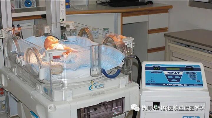 为什么用颅脑降温治疗仪重症患者的脑保护-2-亚低温治疗_https://www.jmylbn.com_新闻资讯_第2张