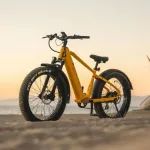 「电动单车 e-bike」热潮持续，国内外又出现了哪些新品牌？｜星球数据