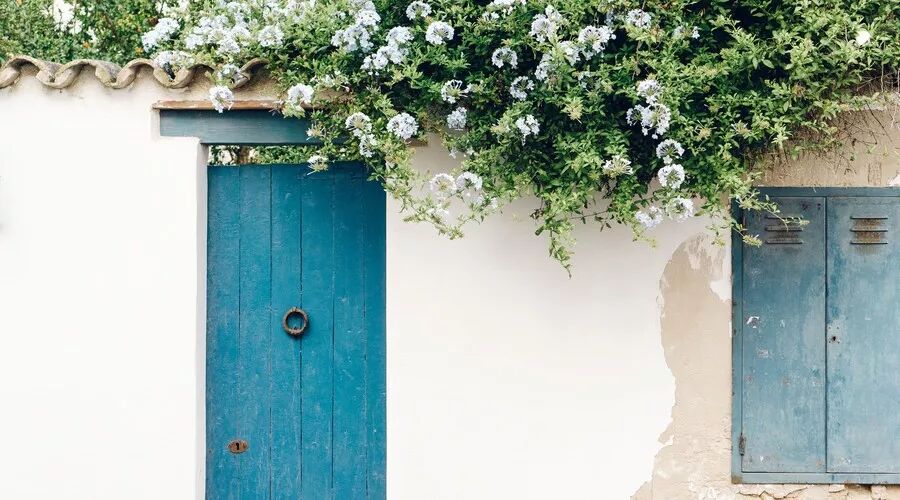 春游踏青，可不要忘记这7件事！抗过敏药物要携带