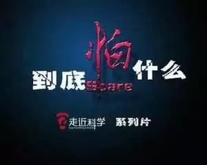 《走近科学》全剧终，母猪深夜惨叫的原因终于找到了！(图30)