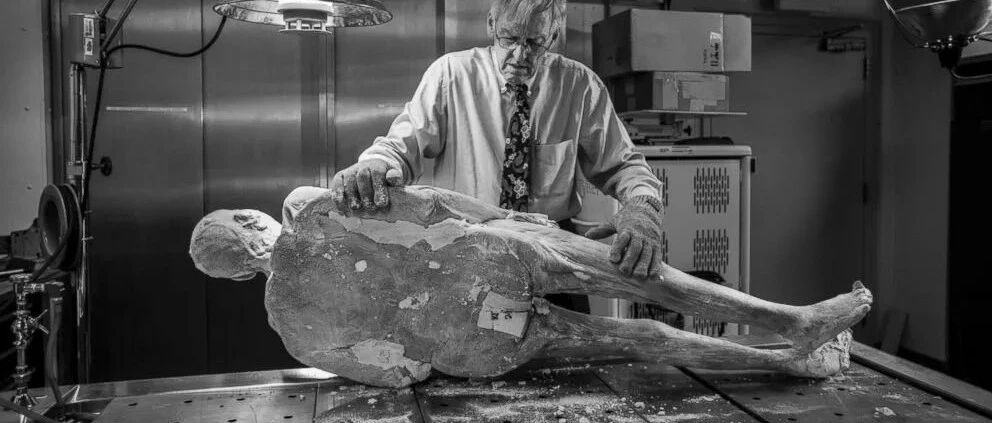 女人被切成2万多片！背后原因给我看麻了