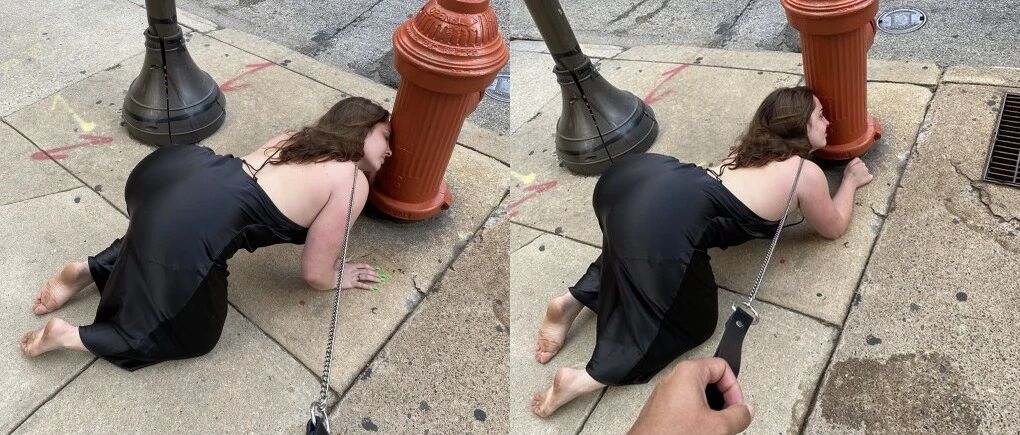 妹子靠当狗成网红，20万粉丝就能月入百万？