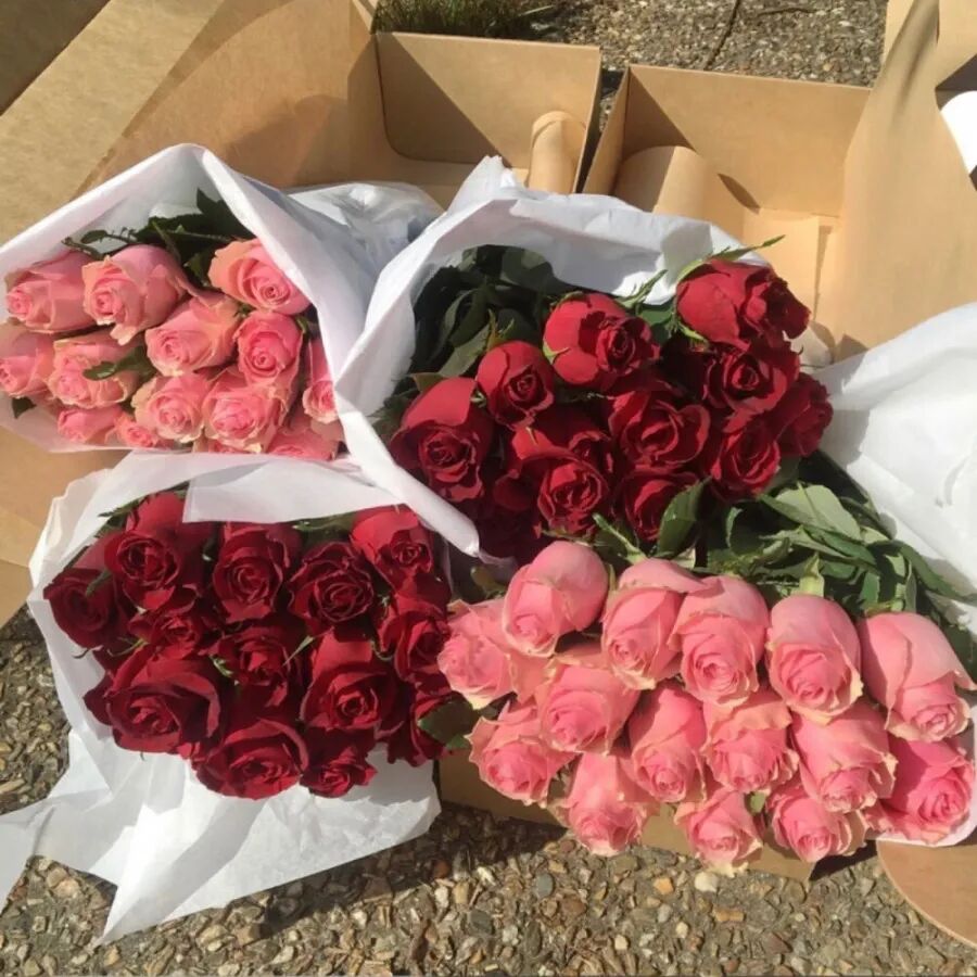 文案 50条高质量宝藏签名短句 全网搜