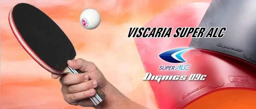VISCARIA SUPER ALC的推荐组合
