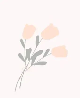 深圳賽諾祝女神們節(jié)日快樂(lè)！