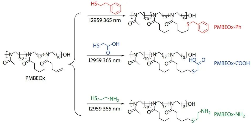 东北师大邓明虓和中科院长春应化所宋万通合作：功能化两亲性聚(2-噁唑啉)高分子药物载体及其结构与载药能力之间的关系的图2