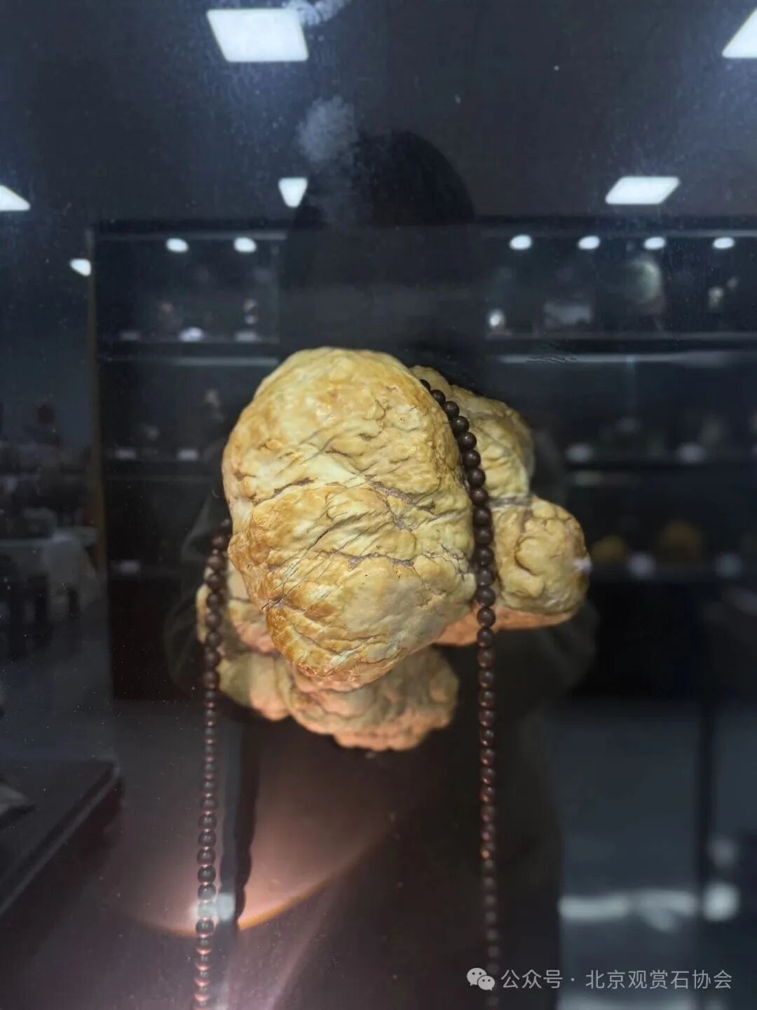 洛阳“愚公灵琢杯”国际赏石文化艺术展盛大开幕