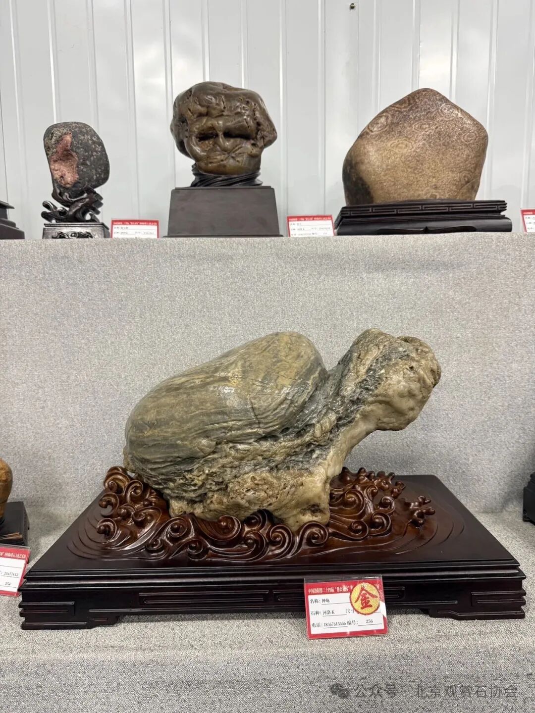 洛阳“愚公灵琢杯”国际赏石文化艺术展盛大开幕