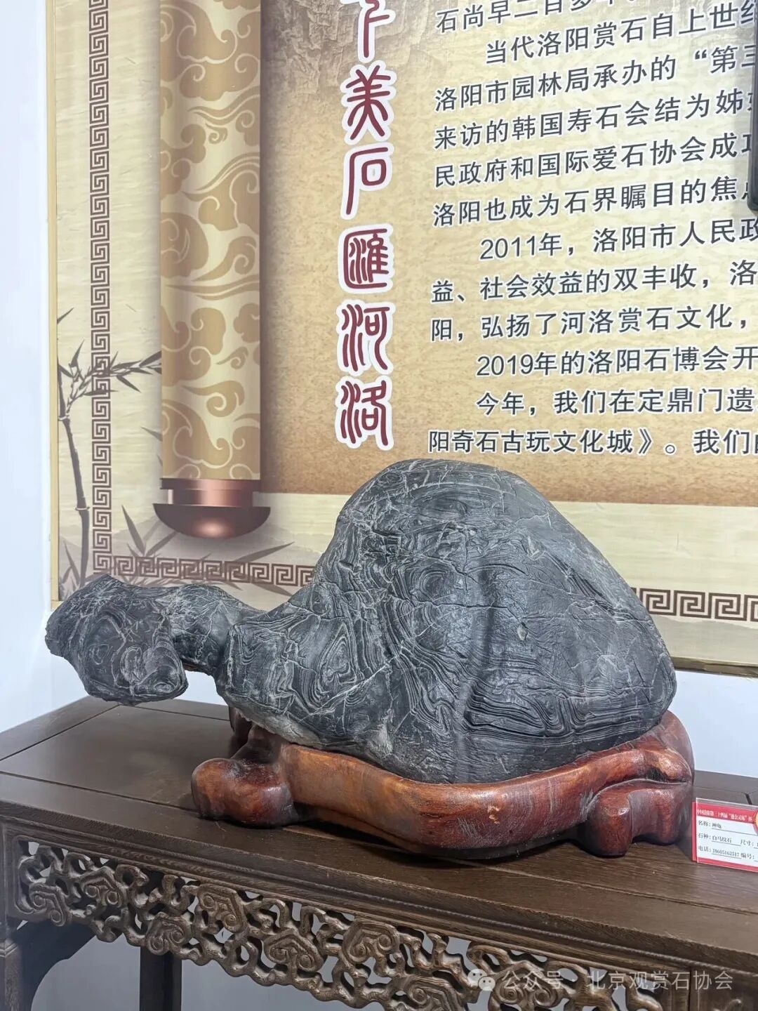 洛阳“愚公灵琢杯”国际赏石文化艺术展盛大开幕