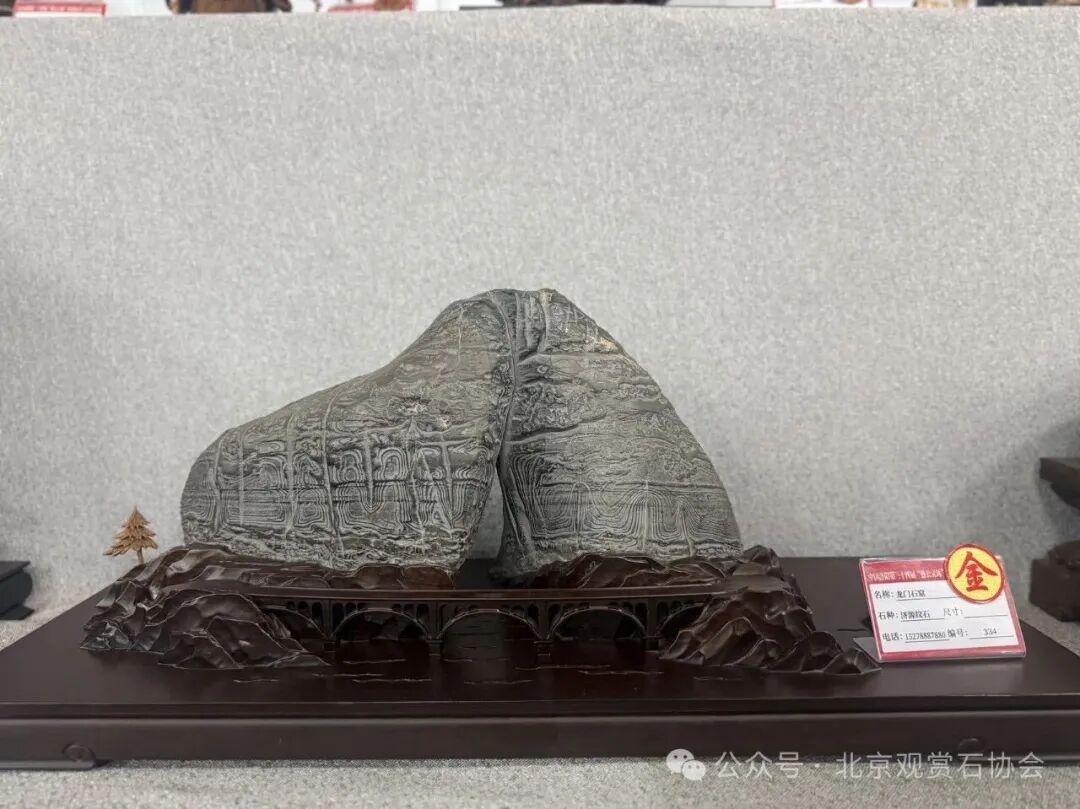 洛阳“愚公灵琢杯”国际赏石文化艺术展盛大开幕