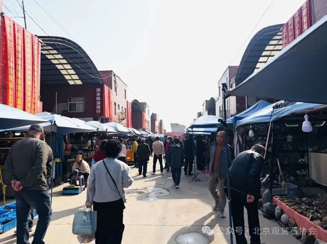 洛阳“愚公灵琢杯”国际赏石文化艺术展盛大开幕