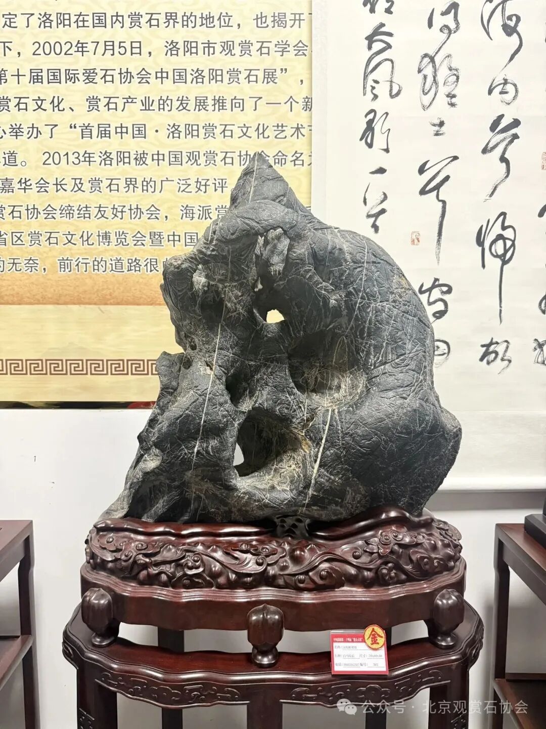 洛阳“愚公灵琢杯”国际赏石文化艺术展盛大开幕