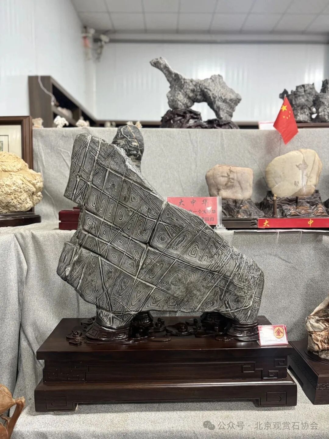 洛阳“愚公灵琢杯”国际赏石文化艺术展盛大开幕