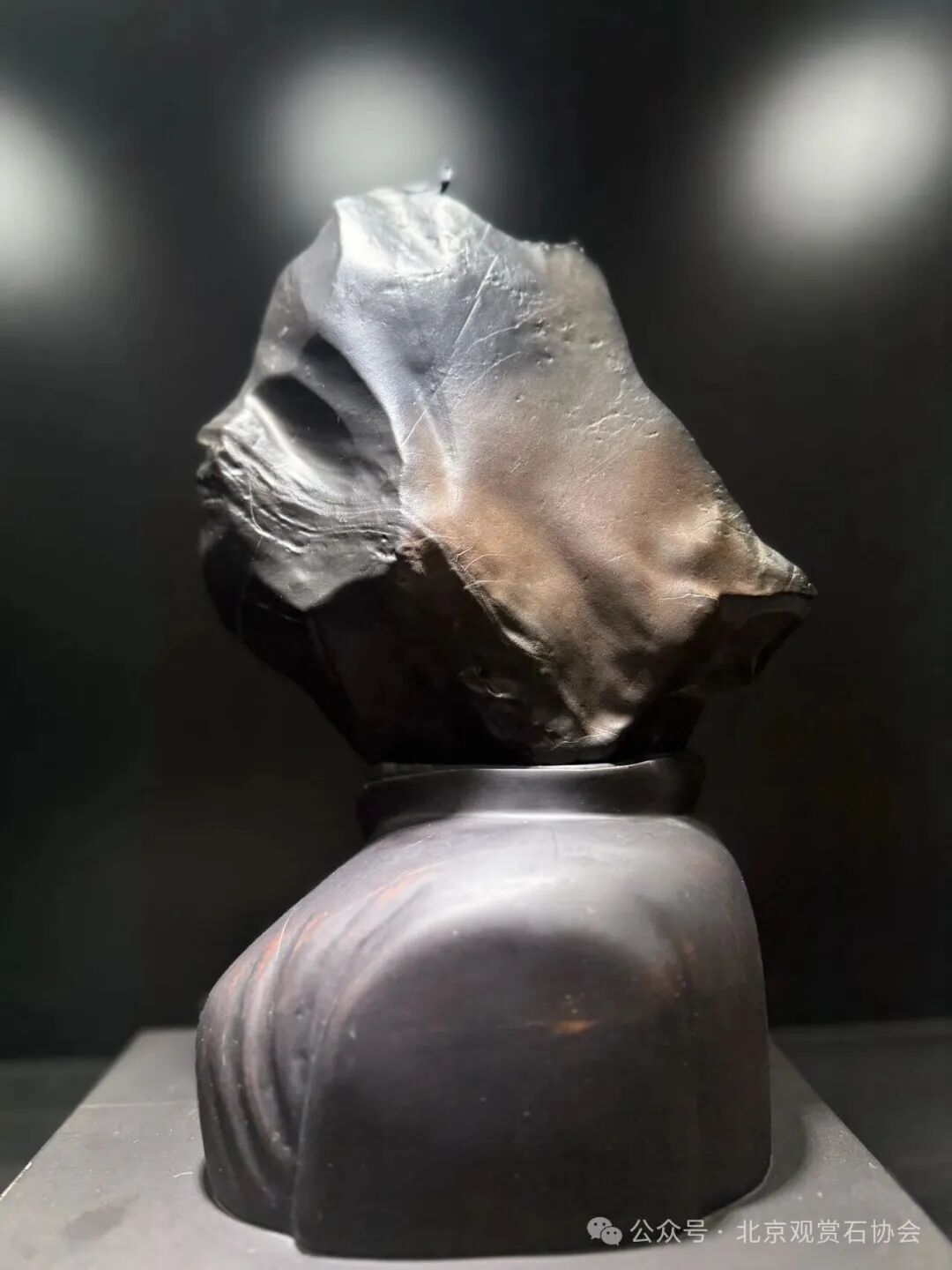 洛阳“愚公灵琢杯”国际赏石文化艺术展盛大开幕