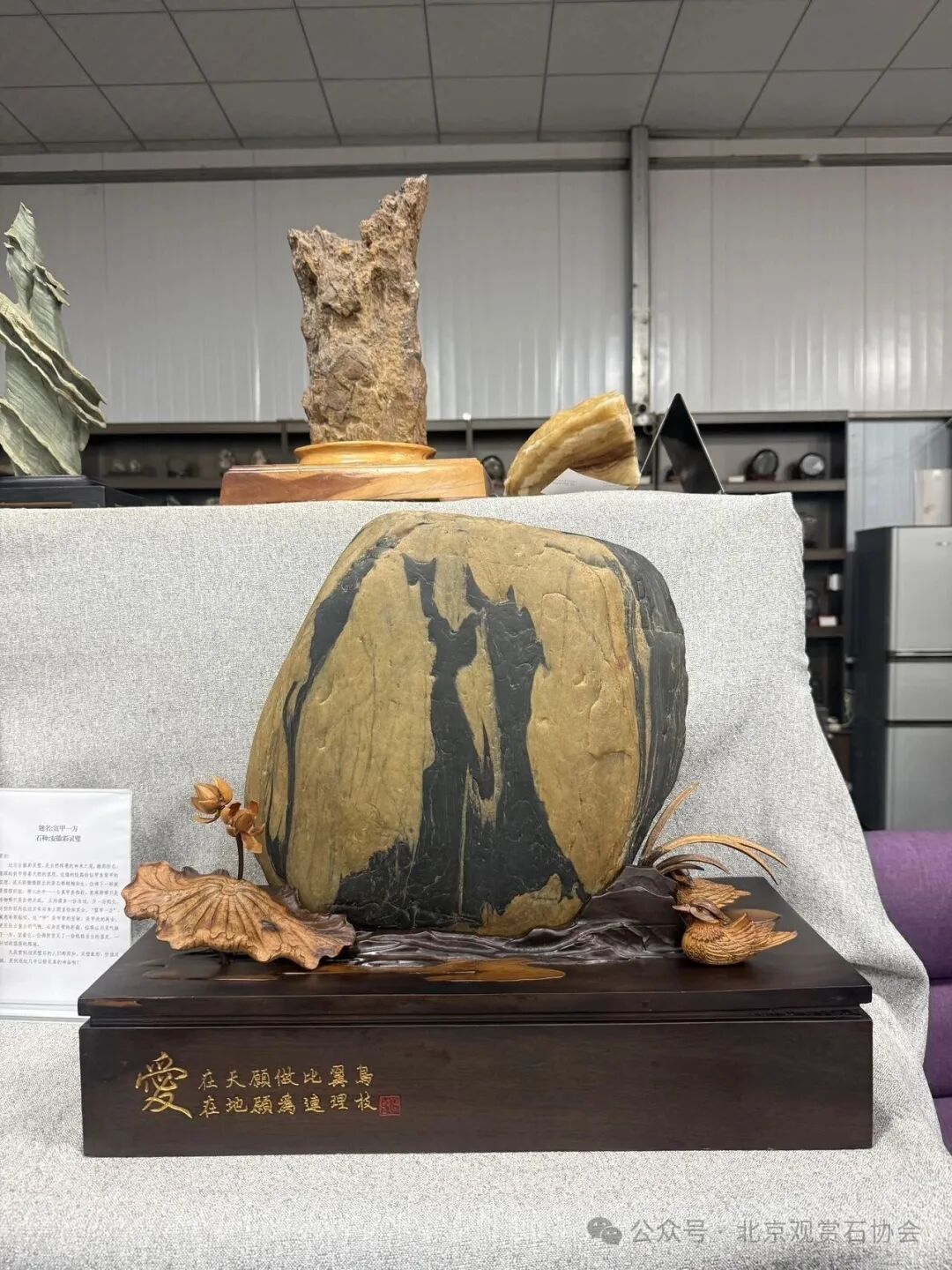 洛阳“愚公灵琢杯”国际赏石文化艺术展盛大开幕