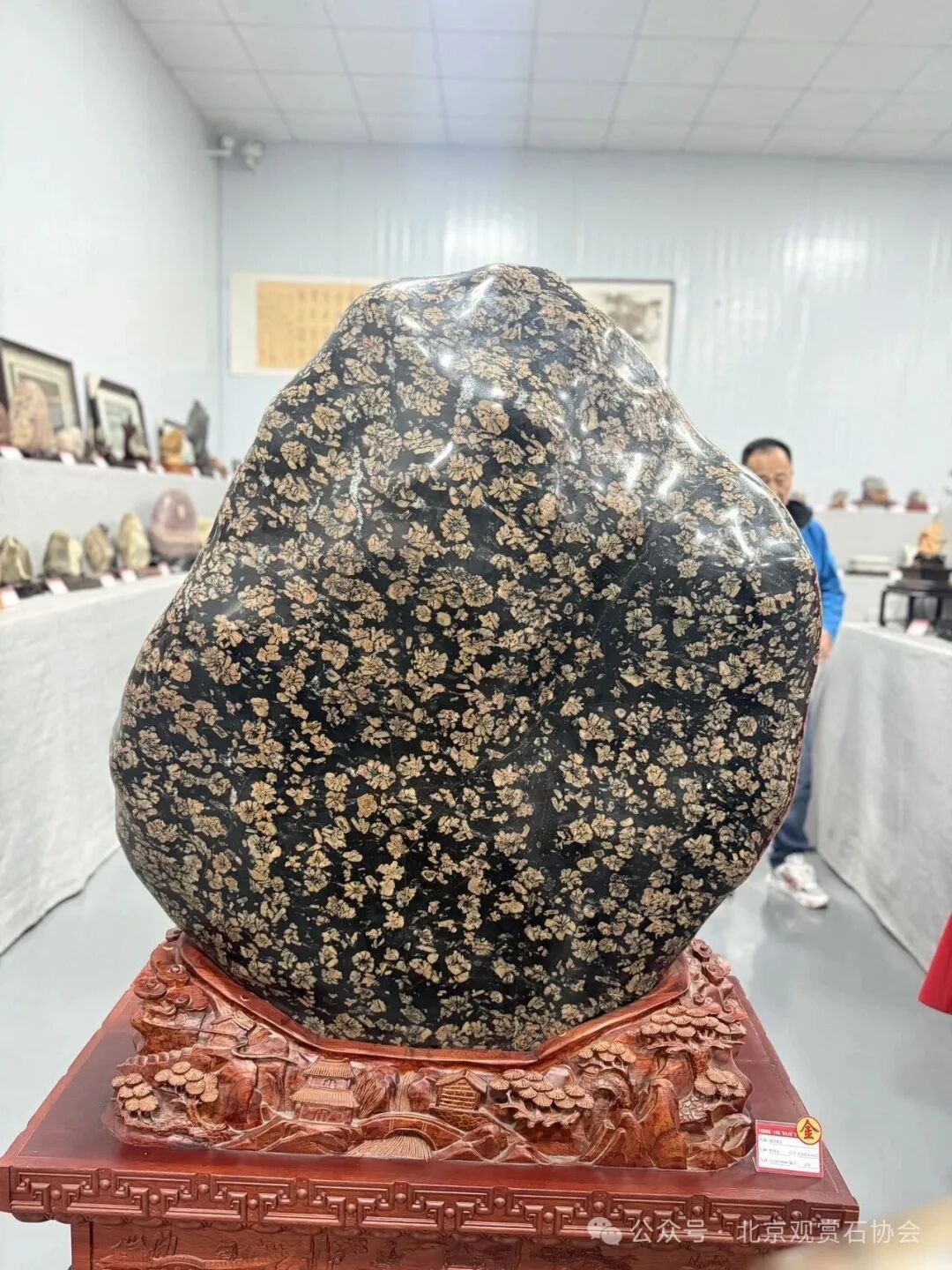 洛阳“愚公灵琢杯”国际赏石文化艺术展盛大开幕