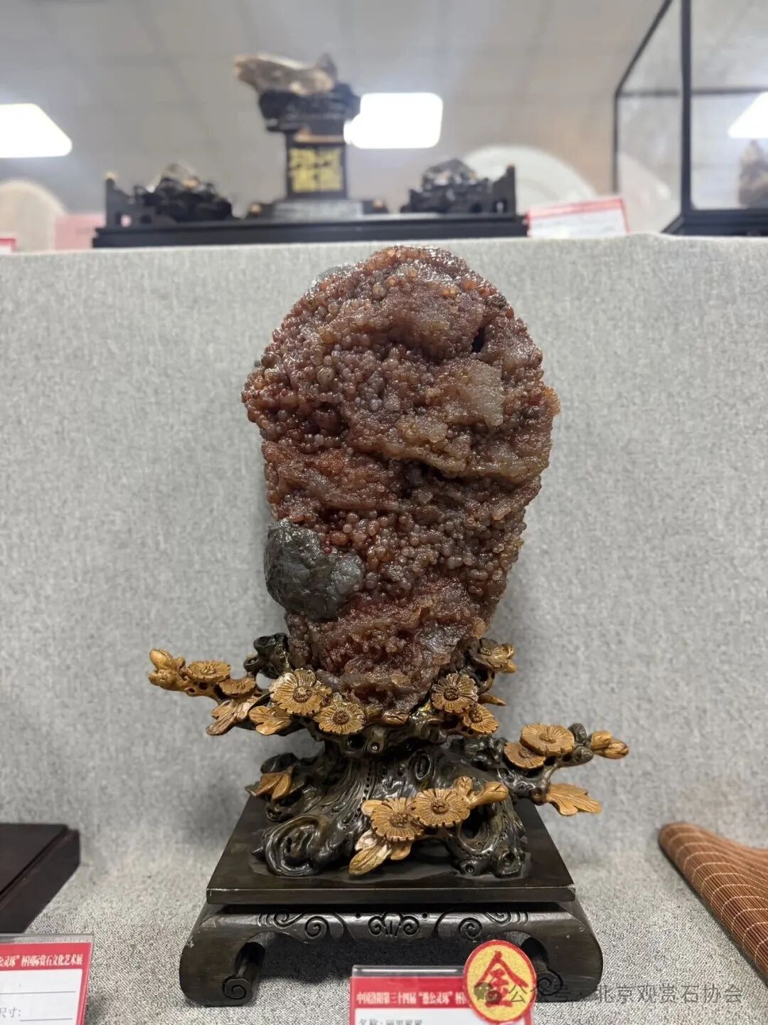 洛阳“愚公灵琢杯”国际赏石文化艺术展盛大开幕