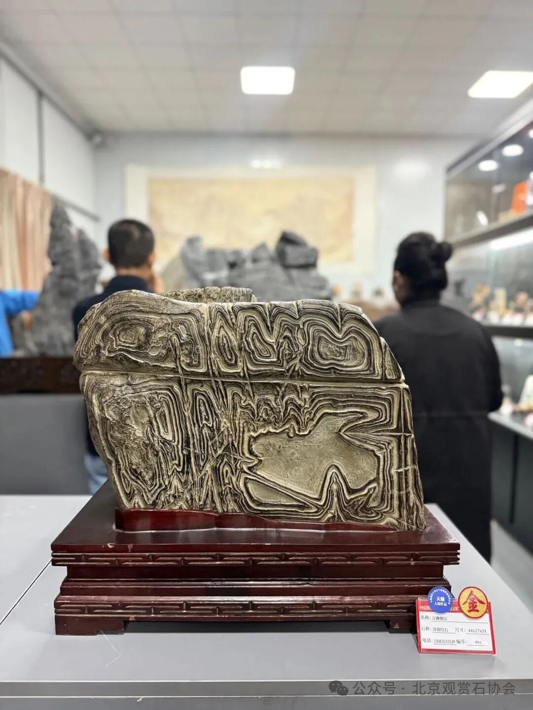 洛阳“愚公灵琢杯”国际赏石文化艺术展盛大开幕