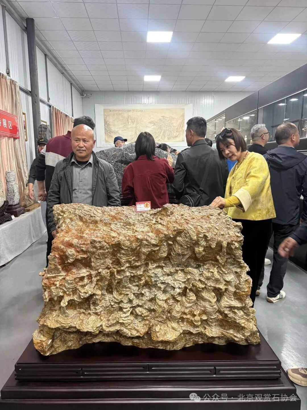 洛阳“愚公灵琢杯”国际赏石文化艺术展盛大开幕