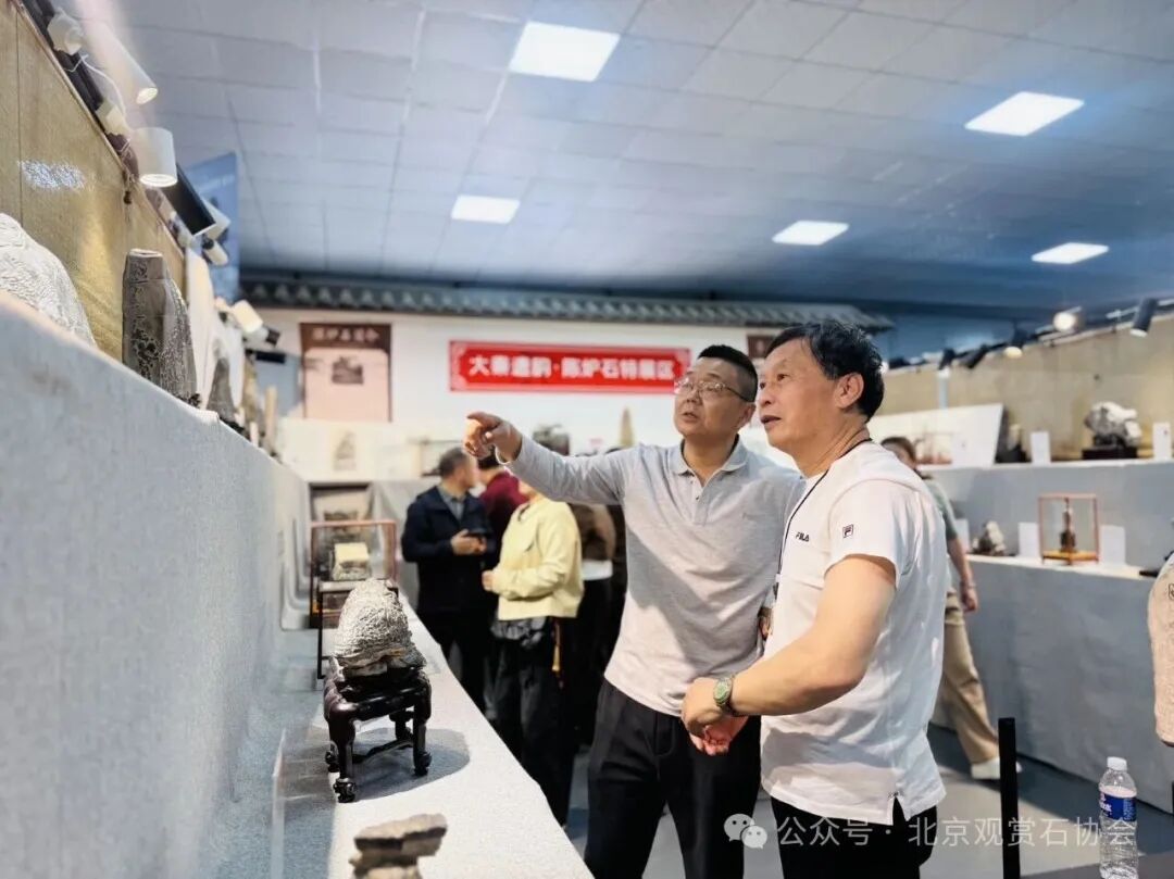 洛阳“愚公灵琢杯”国际赏石文化艺术展盛大开幕