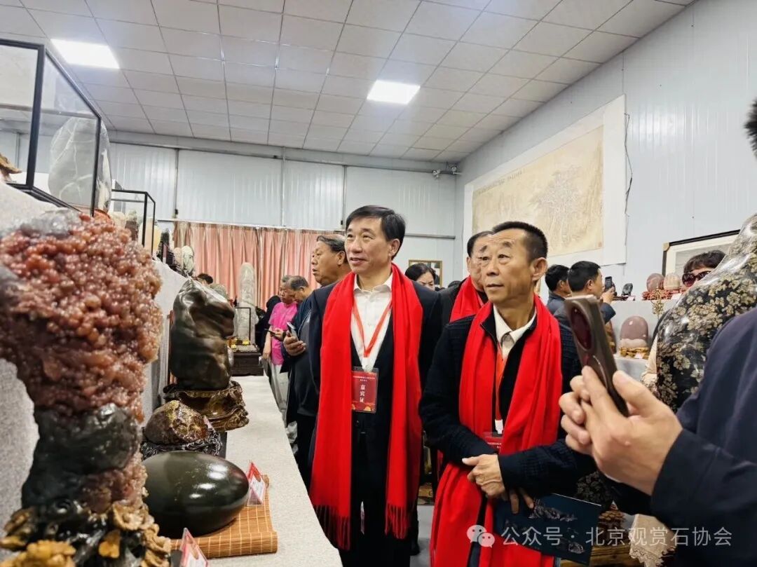 洛阳“愚公灵琢杯”国际赏石文化艺术展盛大开幕