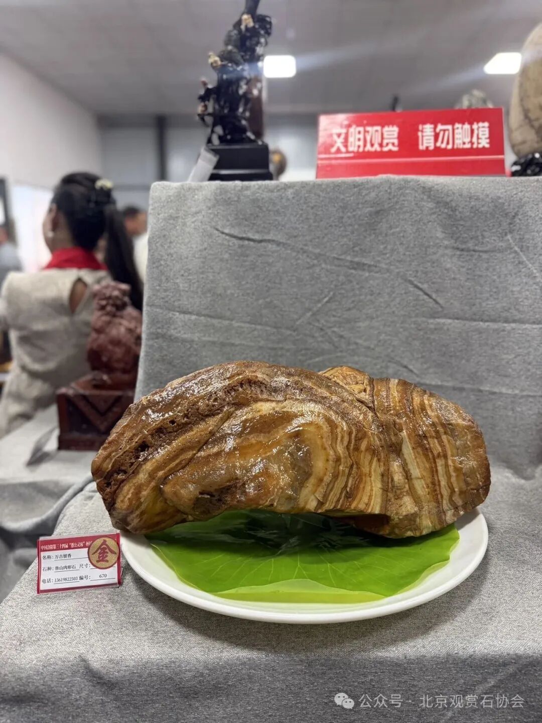 洛阳“愚公灵琢杯”国际赏石文化艺术展盛大开幕