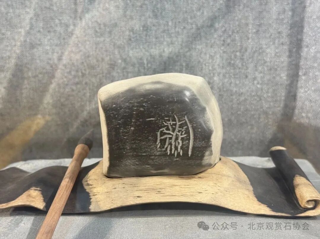 洛阳“愚公灵琢杯”国际赏石文化艺术展盛大开幕