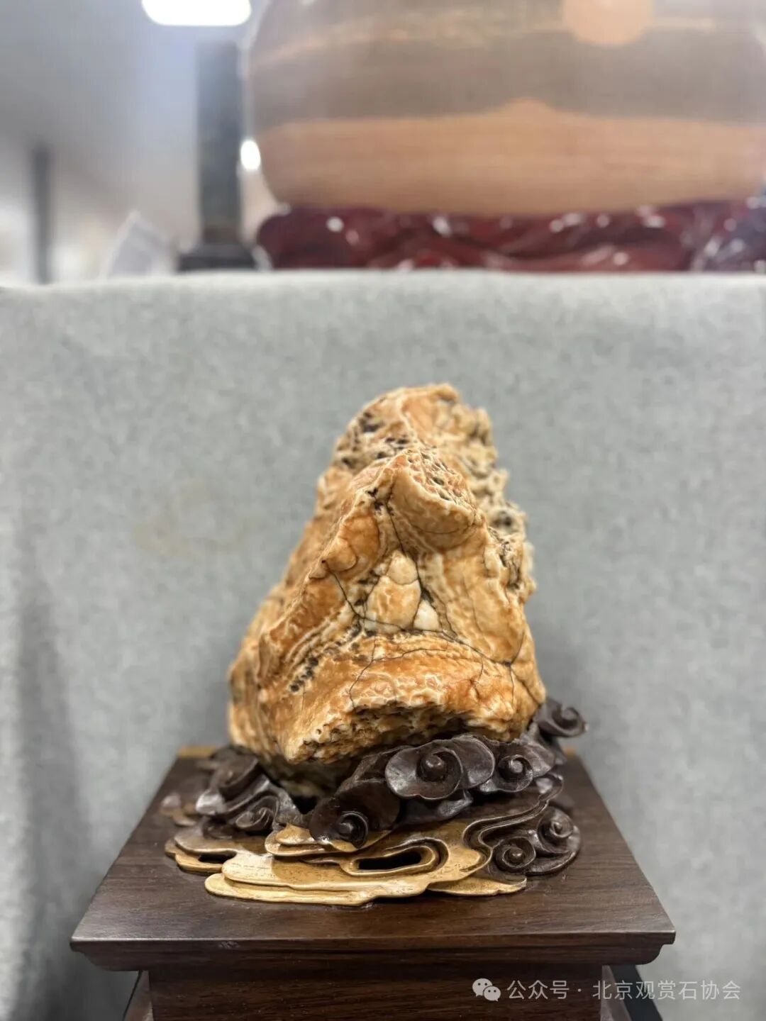 洛阳“愚公灵琢杯”国际赏石文化艺术展盛大开幕