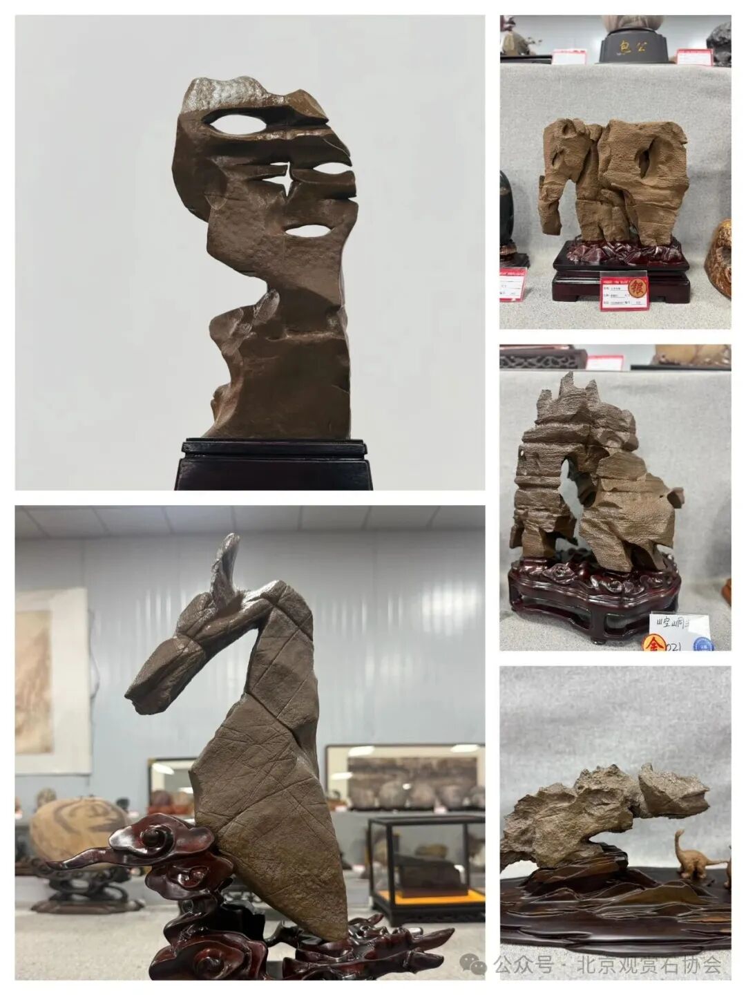 洛阳“愚公灵琢杯”国际赏石文化艺术展盛大开幕