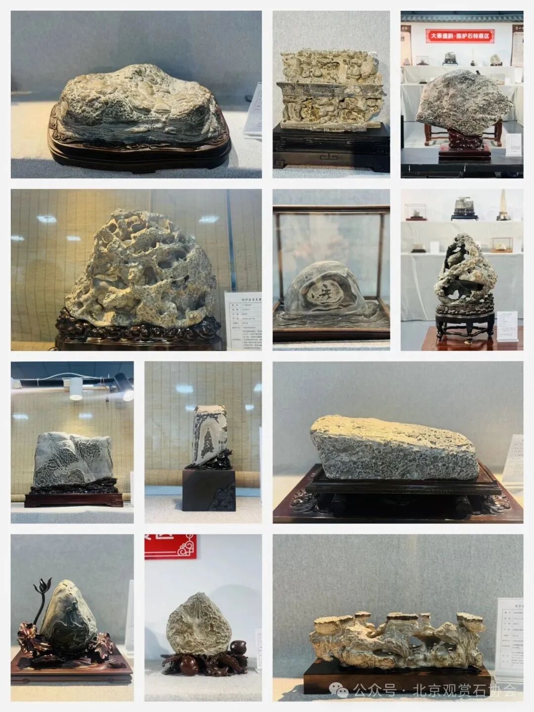 洛阳“愚公灵琢杯”国际赏石文化艺术展盛大开幕