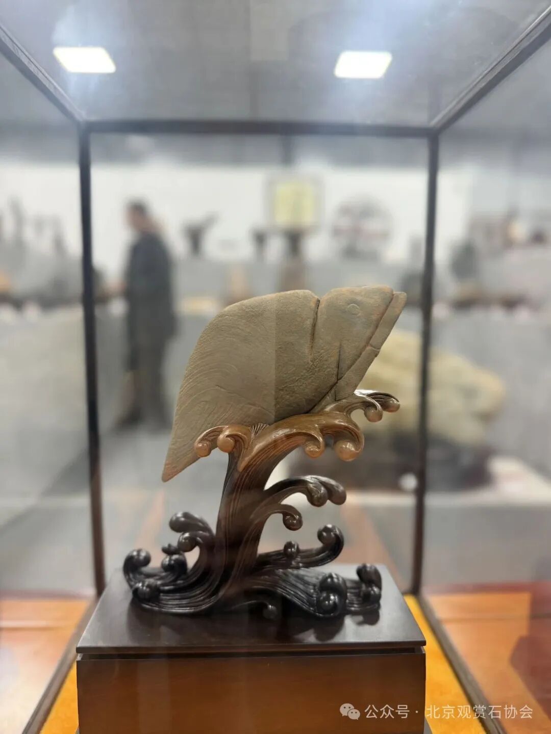 洛阳“愚公灵琢杯”国际赏石文化艺术展盛大开幕