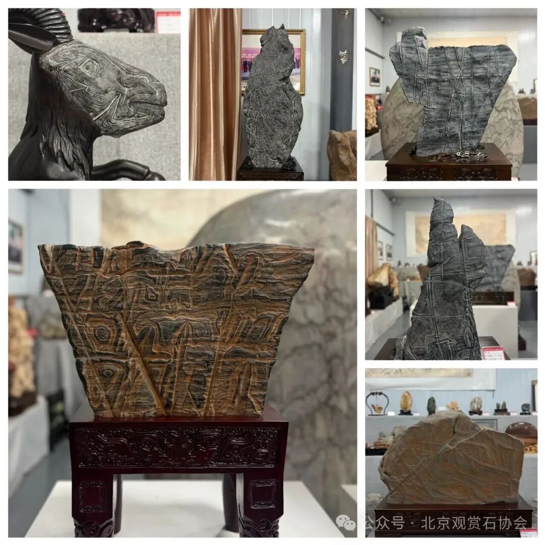 洛阳“愚公灵琢杯”国际赏石文化艺术展盛大开幕