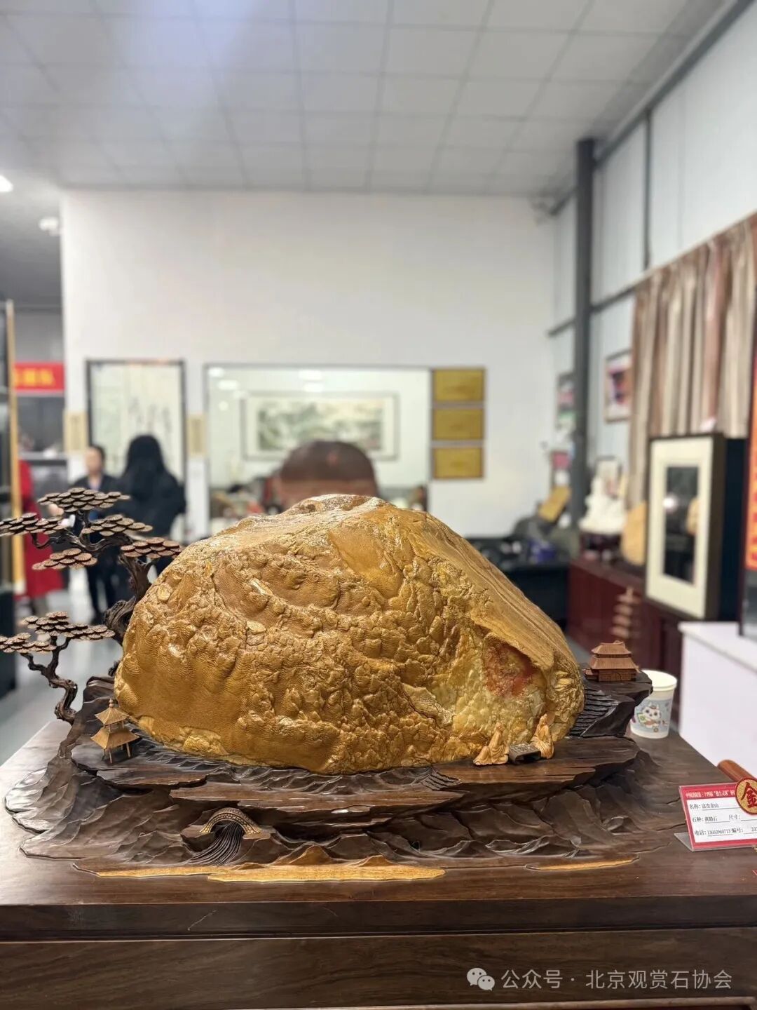 洛阳“愚公灵琢杯”国际赏石文化艺术展盛大开幕