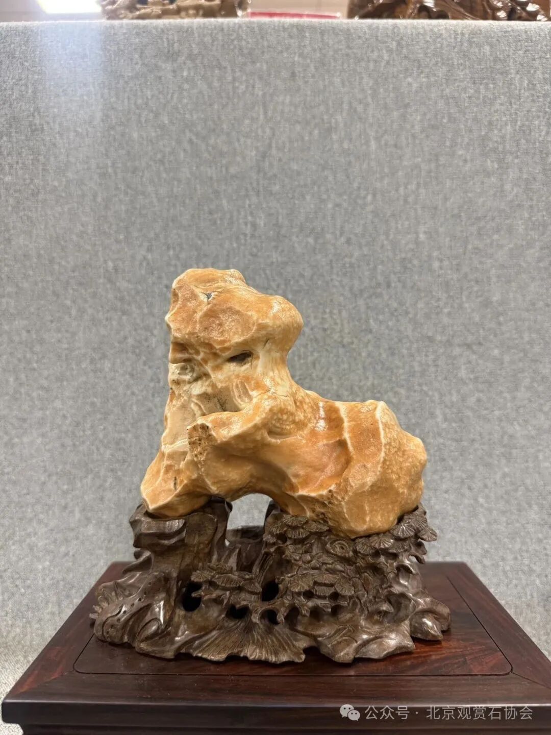 洛阳“愚公灵琢杯”国际赏石文化艺术展盛大开幕