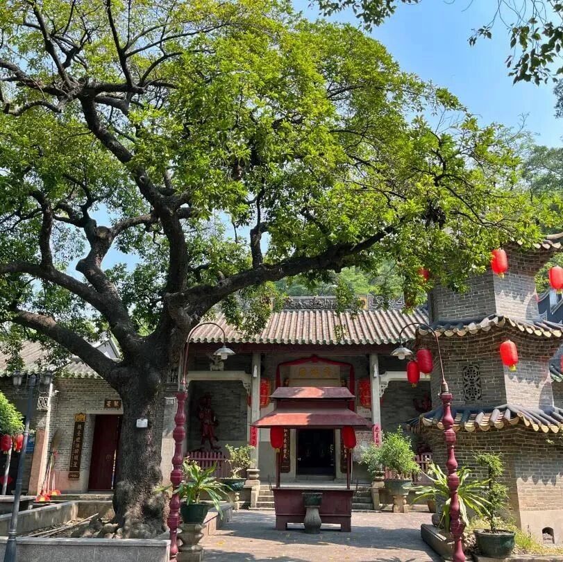 古石头、古井、古树、古晨钟......番禺石楼镇这座庙宇古色古香