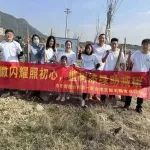 春风十里  共植希望——中华保险开展植树公益活动