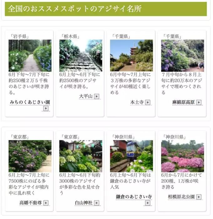 你還別說 日本的這個 花姑娘 還真美 申江服務導報 微文庫