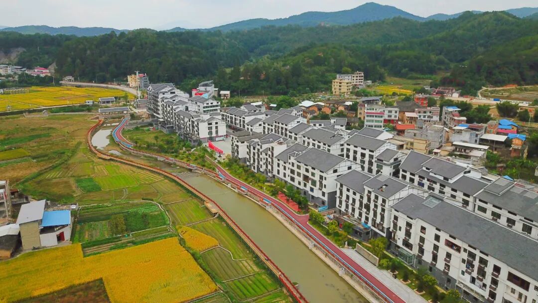 西田村航拍张传甲,永定区金砂镇西田村人,中共党员,2018年6月至今