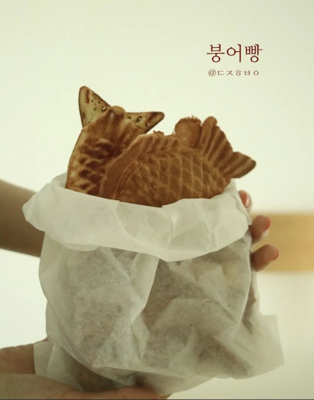 겨울별미鲫鱼饼 外研社韩语 微信公众号文章阅读 Wemp